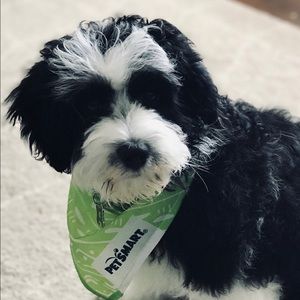 Meet your Posher, Faith